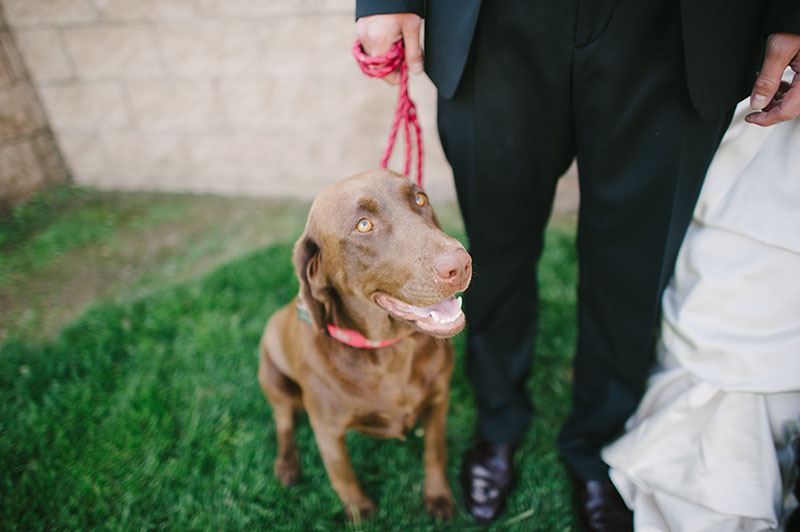 Orange-County-Engagement-Session_02