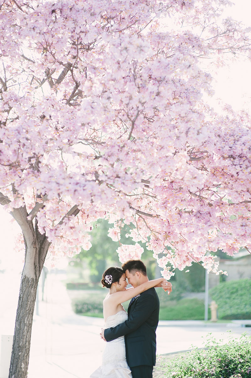 Orange County Engagement Session Cherry Blossom