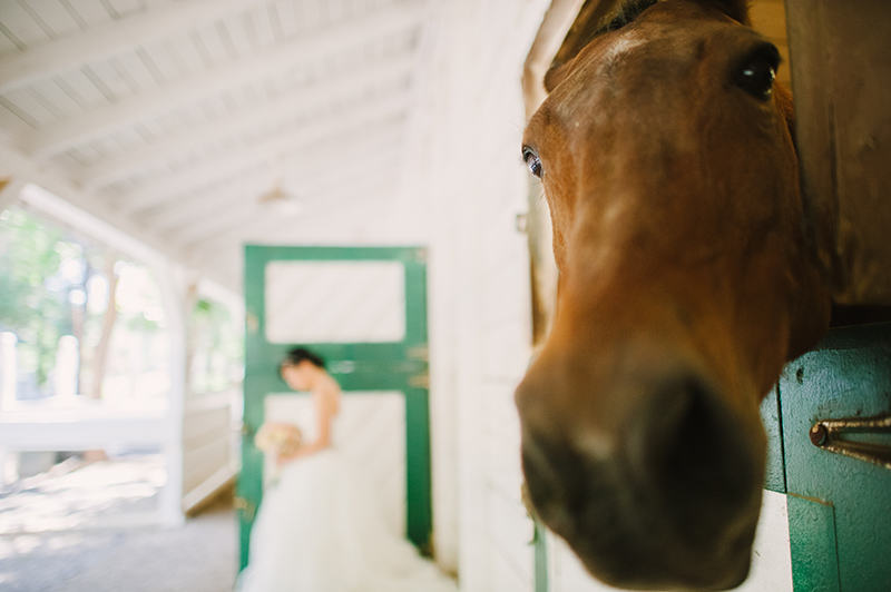 Brookside-Equestrian-Wedding-Photographer