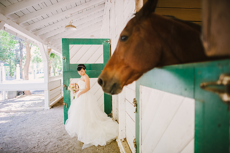 Brookside-Equestrian-Wedding-Photographer