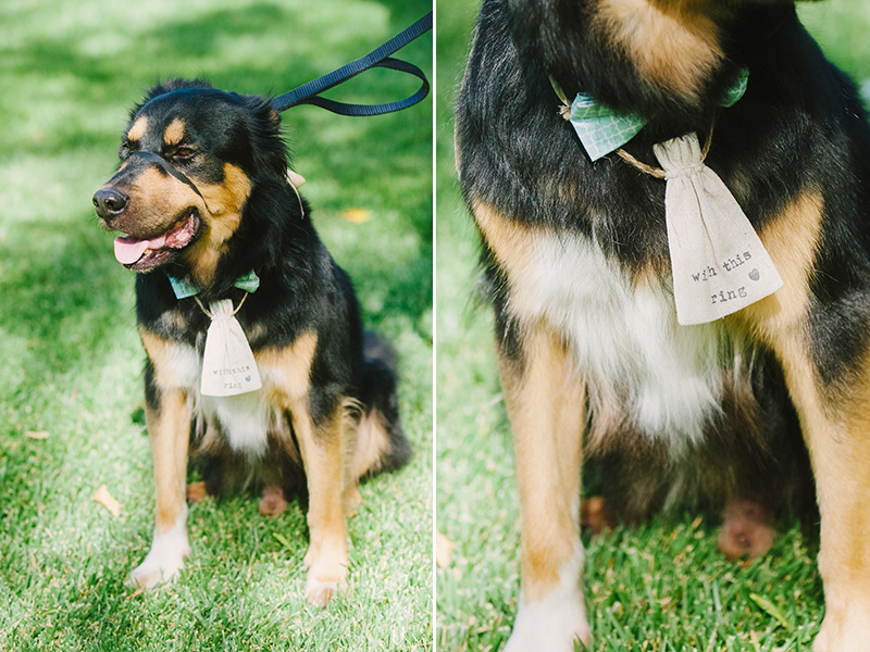 Brookside-Equestrian-Wedding-Photographer