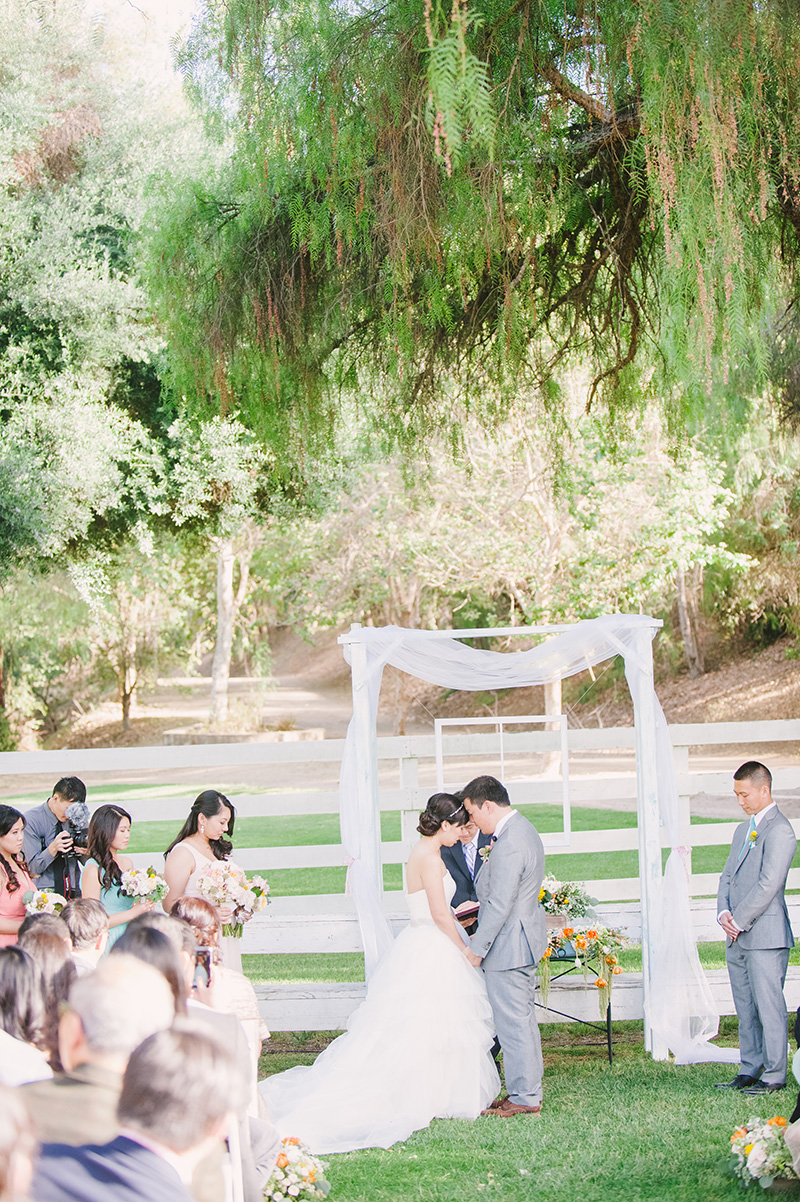 Brookside-Equestrian-Wedding-Photographer